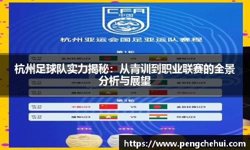 杭州足球队实力揭秘：从青训到职业联赛的全景分析与展望